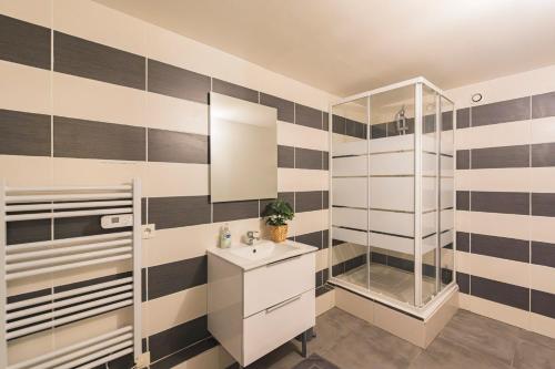 une salle de bain avec un lavabo et une douche dans l'établissement Le Pastel - 10 couchages - proche Cathédrale, à Reims
