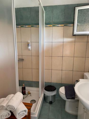 a bathroom with a shower and a toilet and a sink at Corfù Appartamenti Dellis - Close to the beach in Káto Spílaion
