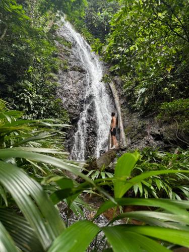 a man standing in front of a waterfall at The Humpback Turtle in El Valle