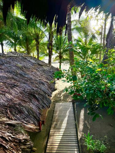 a wooden path leading to a beach with palm trees at The Humpback Turtle in El Valle
