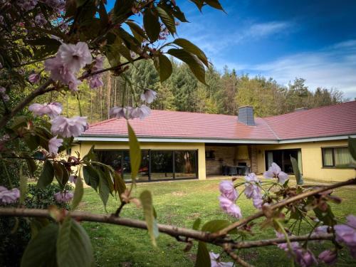 a house with a red roof and a tree with pink flowers at Villa Münchweiler in Münchweiler Rodalb