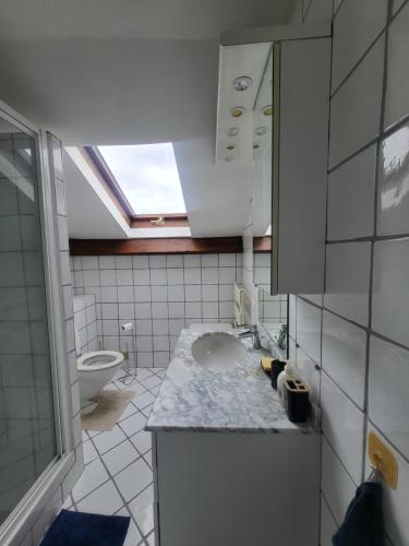 un bagno con lavandino e WC di GRAND DUPLEX proche de PARIS a Saint-Maur-des-Fossés