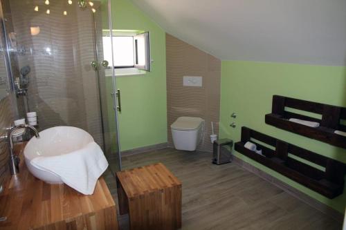 a bathroom with a sink and a shower and a toilet at Mountain Stone Villa with pool in Stanići