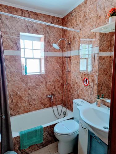 a bathroom with a toilet and a shower and a sink at Hermione Horizon in Ermioni