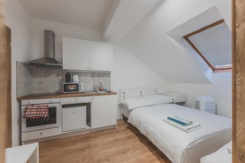 Η κουζίνα ή μικρή κουζίνα στο Flat Near Prague Castle Stylish & Prime Location 5