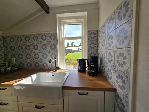 a kitchen with a sink and a window at Appartement Het Voorhuis in Horssen