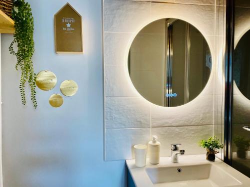 une salle de bain avec un lavabo et un miroir dans l'établissement Cosi studio duplex Teinturiers - WIFI - CLIM -, à Avignon