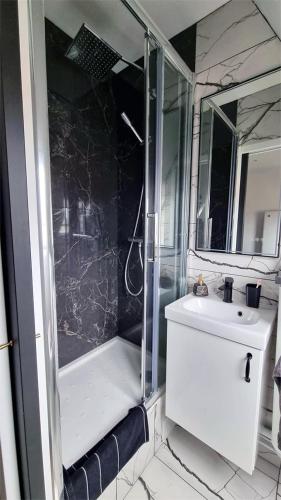 une salle de bain avec une douche, un lavabo et un miroir dans l'établissement Charming Aligre Bastille Neighborhood Studio, à Paris
