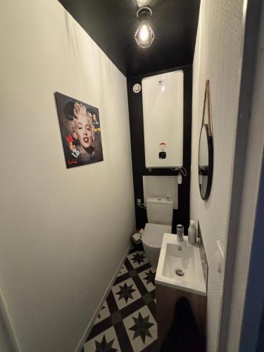 une petite salle de bain avec toilettes et lavabo dans l'établissement 5 min Moulins Duplex -Clim -wifi -borne d arcade -garage 25 min LE PAL, à Yzeure