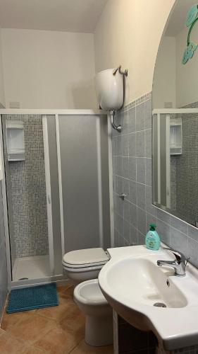 a bathroom with a shower and a toilet and a sink at Open Space s'Ollastu con WiFi, Patio e Aria Condizionata in Cardedu
