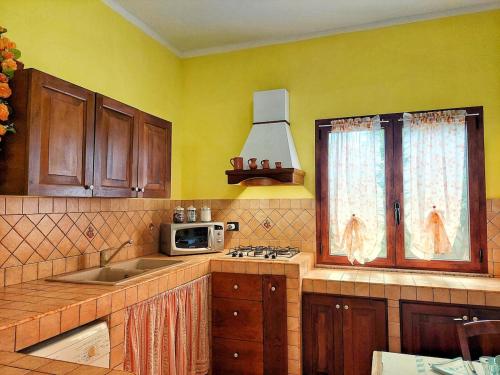a kitchen with a sink and a microwave at Open Space s'Ollastu con WiFi, Patio e Aria Condizionata in Cardedu