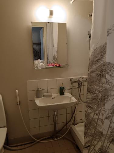a bathroom with a sink and a mirror at Siisti valoisa kolmio in Lieksa