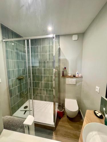 une salle de bain avec une douche, des toilettes et un lavabo dans l'établissement Maison des Alouettes, à Sainte-Marie de Ré