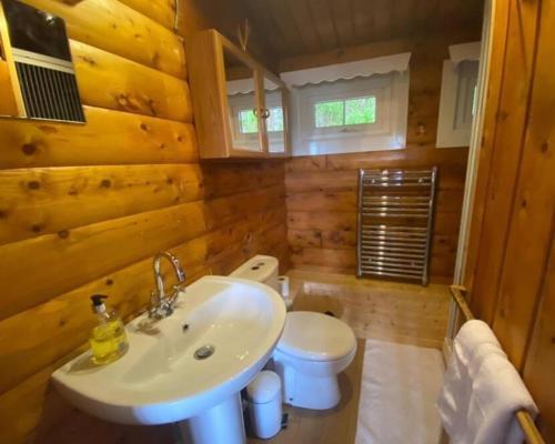 a bathroom with a white sink and a toilet at Misty Mountain Log Cabin - Trawsfynydd in Trawsfynydd