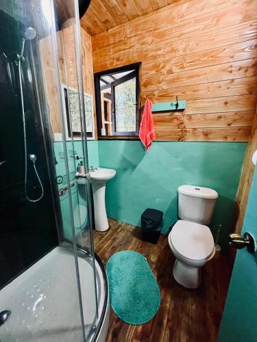 a bathroom with a toilet and a sink and a shower at Hostal María Lucía in Coñaripe