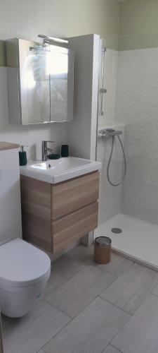 une salle de bain avec un lavabo, des toilettes et une douche dans l'établissement Villa Six-Fours Les Plages, à Six-Fours-les-Plages