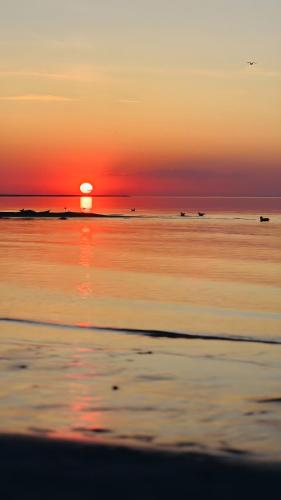 a sunset on the beach with the sun setting at Comfort 3-Room Apartment with Forest View & 2 Bedrooms in Jūrmala