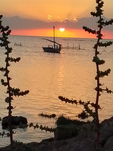 a boat on the water at sunset with trees at Casa loud in Sidi el Moujahed