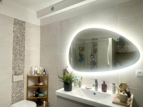 une salle de bain avec un lavabo et un miroir dans l'établissement Anatole Résidence - FRANCE, à Hagondange