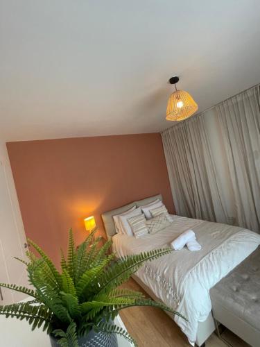 HagondangeにあるAnatole Résidence - FRANCEの小さなベッドルーム(ベッド1台、植物付)