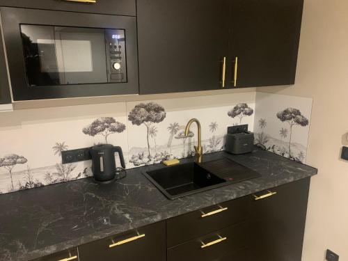 un comptoir de cuisine avec un évier et un micro-ondes dans l'établissement Les Ecuries du Roi - Château Versailles-Parking-Wifi-Netflix, à Villepreux