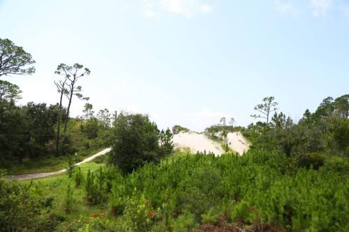 a dirt road in a field with grass and trees at Gulf Coast Condos on the Sand Dunes - 101 in Dauphin Island