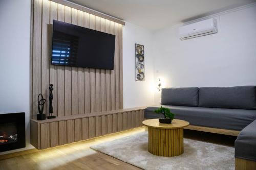 a living room with a couch and a tv at Apartmani Petra i Tea in Krapina