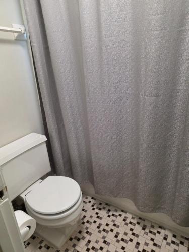 a bathroom with a toilet and a shower curtain at Modern Vast Southern Home with Pool Near Shops in Memphis