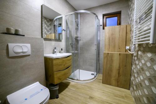 a bathroom with a shower and a toilet and a sink at Apartmani Petra i Tea in Krapina
