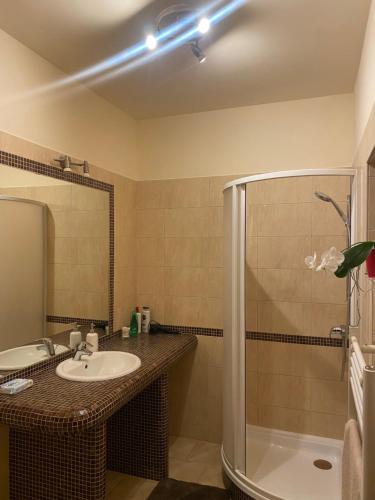 Koupelna v ubytování Garden Spa Resort