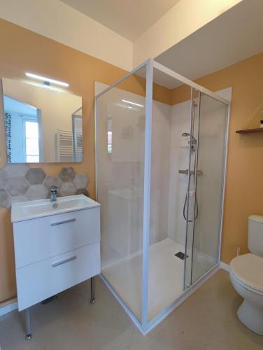 un bagno con doccia, lavandino e WC di Studio Kamelia a Saint-Aignan