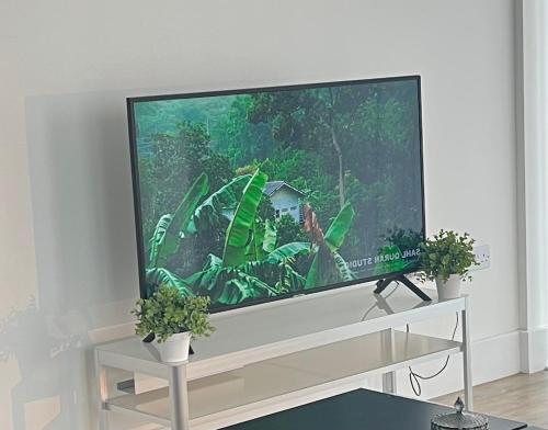a flat screen tv sitting on a white stand with two plants at Lovely 1Bed flat 10mins to Canary Wharf & parking in Woolwich
