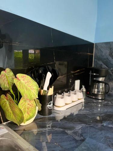 a counter top with a cup of kitchen utensils at Osa House in Puerto Jiménez