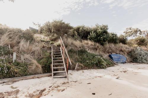 a wooden ladder on a beach with grass and bushes at Seagrass Coastal Retreat with direct beach access in Lewisham