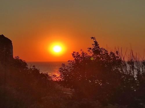 a sunset over the ocean with a tree in the foreground at Holiday home for 8 people in Veulettes-sur-Mer