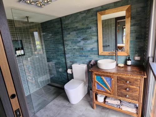 a bathroom with a toilet and a sink and a shower at Appledore - Cabin in the Valley in Glen Huon