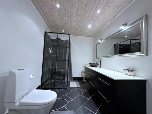 a bathroom with a toilet and a shower and a sink at Cozy Coastal Home in Egernsund in Egernsund