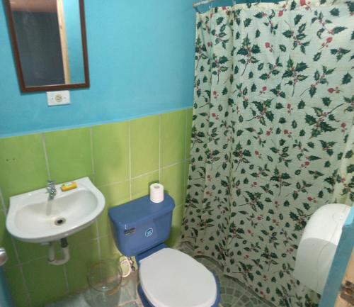 a bathroom with a toilet and a sink and a shower curtain at Residencial D' Caché in Aguadulce