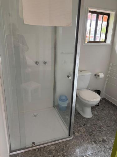 a bathroom with a shower and a toilet at The Blue House in Lake Tyers