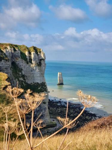 - une vue sur une plage avec un rocher dans l'océan dans l'établissement Marafiki Etretat, à Percoq