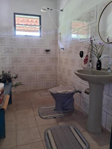 a bathroom with a sink and a toilet at Camping Serra São José in Tiradentes