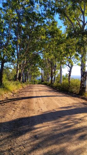 a dirt road with trees on either side at Refugio del Valle in La Falda