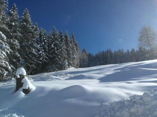 a snowboarder on a snow covered slope with trees at Webertonihütte Modern retreat in Kliening