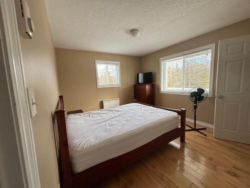 a bedroom with a bed and a dresser and two windows at Family & Pet Friendly Huron Getaway in Miller Lake