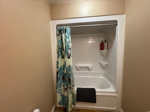 a bathroom with a bath tub with a shower curtain at Family & Pet Friendly Huron Getaway in Miller Lake