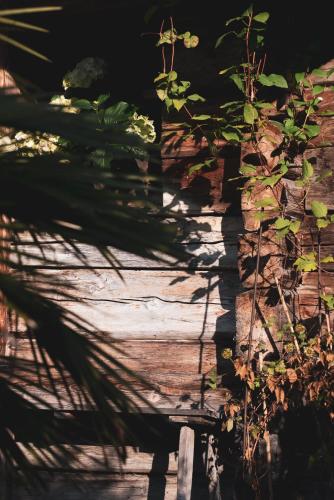 a shadow of a plant on a wooden bench at monas home mayrhofen in Mayrhofen