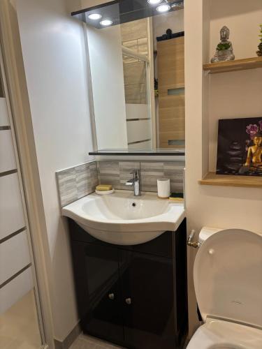 a bathroom with a sink and a toilet at Appartement cosy avec jardin in Nyons