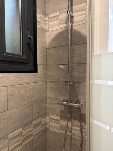 a shower with a shower head in a bathroom at Appartement cosy avec jardin in Nyons