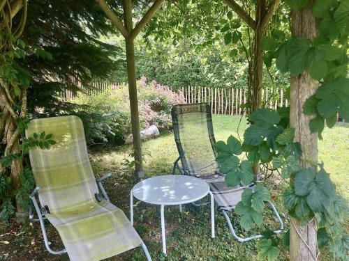 two chairs and a table in a garden at Blum - vom Ende Comfortable holiday residence in Altmünster