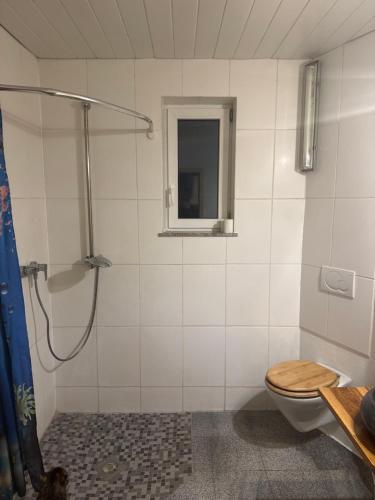a bathroom with a shower with a toilet and a window at Farm Privatzimmer Reni Gemeinschaftsbad Free WiFi Naturgarten in Hausbreitenbach